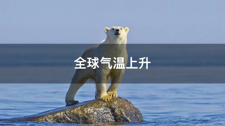 螞蟻商聯(lián)攜手金好來超市發(fā)起“以竹代木，翠我山河”植樹節(jié)活動(dòng)，從改變生活習(xí)慣開始！喊你為公益接力~